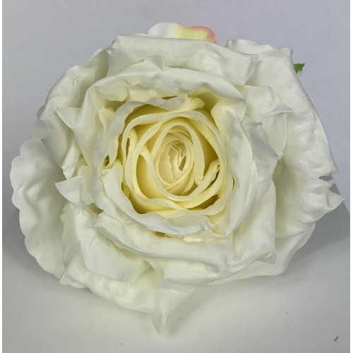 Róża wyrobowa EXCLUSIVE (6-pak) kolor 5